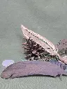 20250223_120428.webp