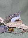 20250223_120426.webp