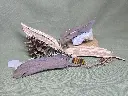 20250223_120423.webp