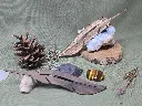 20250223_120618.webp