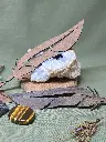 20250223_122604.webp
