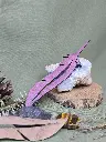 20250223_120223.webp