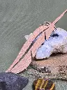 20250223_115958.webp