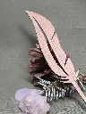 20250223_120001.webp