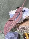20250223_115705.webp