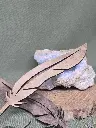 20250223_114858.webp