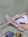 20250223_114840.webp
