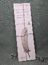 20250303_091143.webp