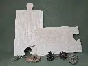 20250223_123741.webp
