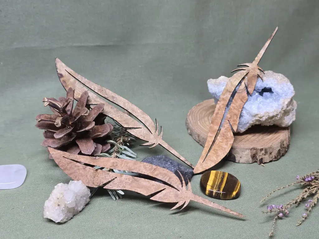 Marque page plume loupe d'Amboine