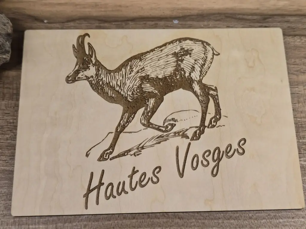 Carte postale "Hautes-Vosges" (Chamois)