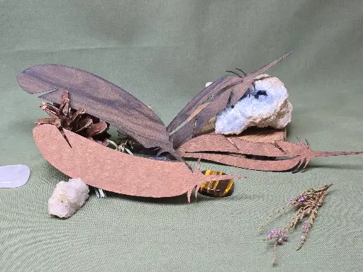 Marque page plume Ziricote / Acajou maillé