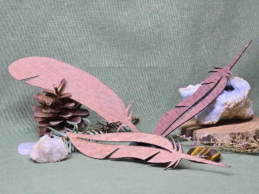 Marque page plume en Louro Faia / Lacewood